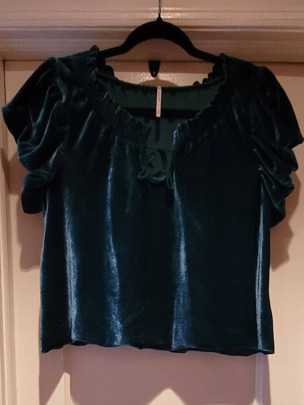 Free People PRE-OWNED Velvet Puff-Sleeve Top in Teal